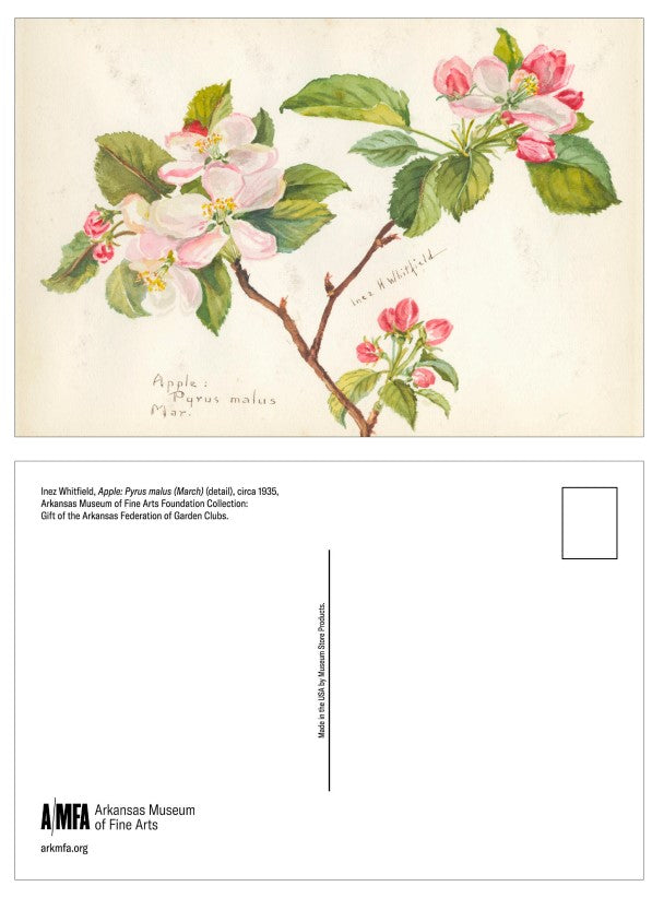 Inez Whitfield Postcard Set