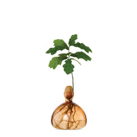 Acorn Vase