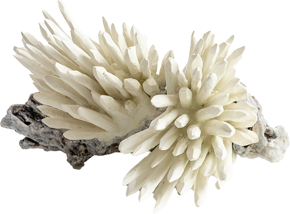 White Quartz Wavellite