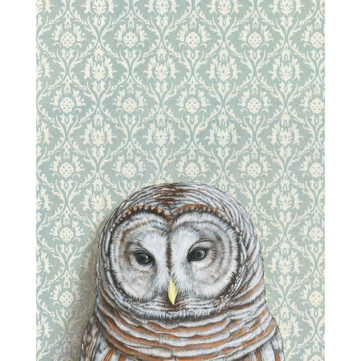 Barred Owl Light Blue Art Print