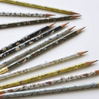 Garden Mix Pencil Terrarium, S/5 Pencils