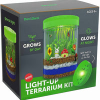 Light-Up Terrarium Kit