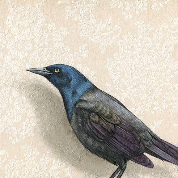 Grackle Fine Art Print