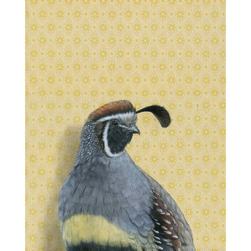 Gambel's Quail Fine Art Print